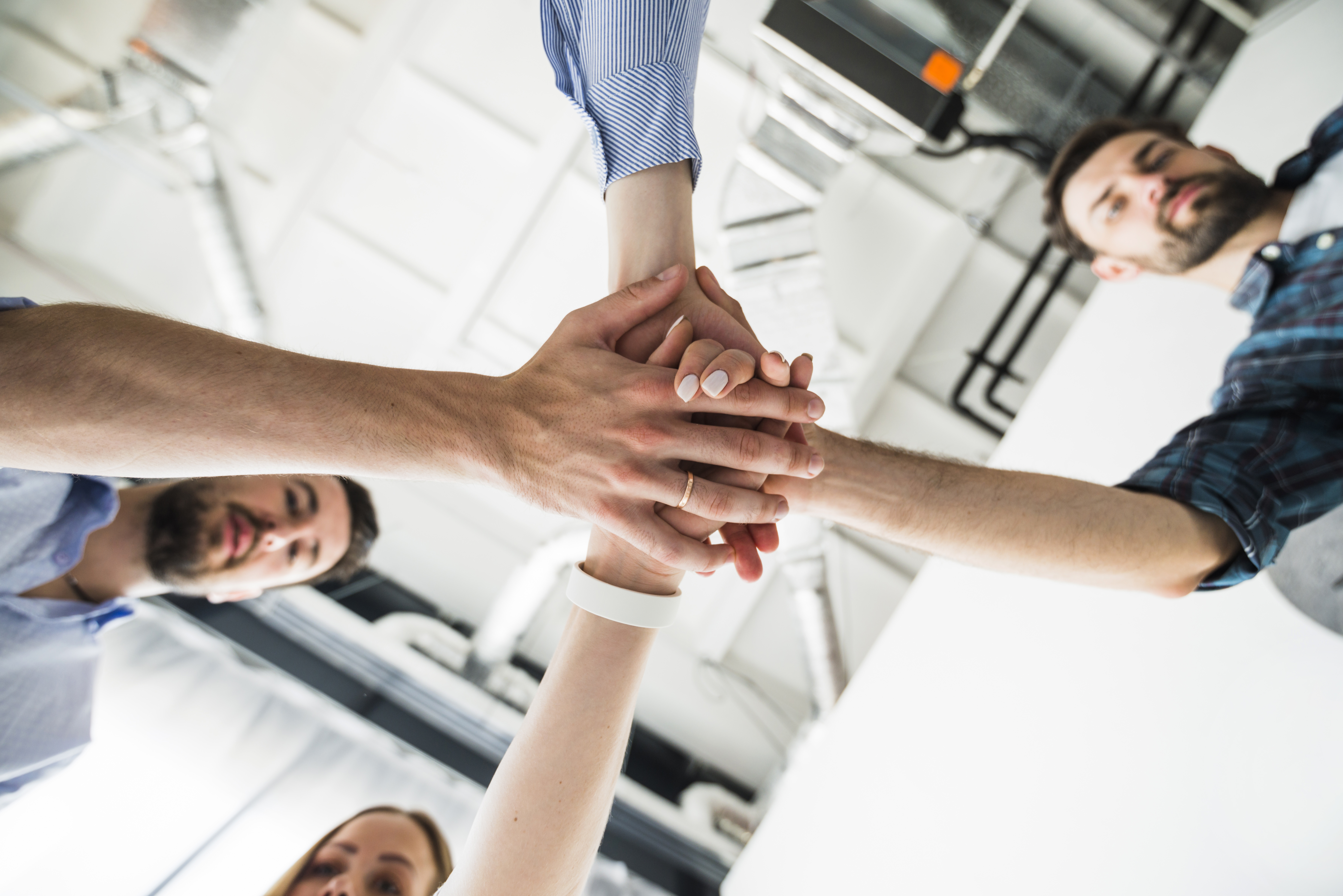 Equipo de personas haciendo Hurra